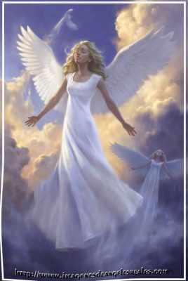 fotos de angeles de la guarda signo fotos de angeles de la guarda signo