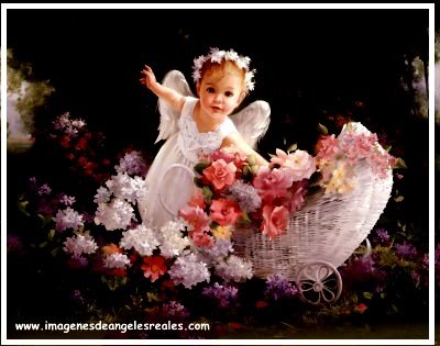 imagenes de angeles bebes gratis tiernos imagenes de angeles bebes gratis tiernos