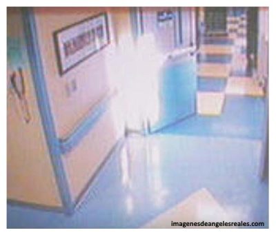 apariciones de angeles en accidentes en los pasillos apariciones de angeles en accidentes en los pasillos