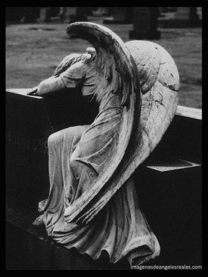 imagenes angeles llorando estatuas imagenes angeles llorando estatuas