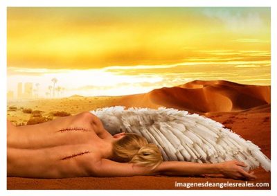 enes de angeles sin alas en hd